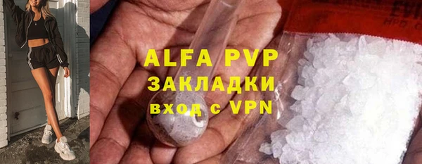 стафф Дмитровск
