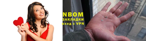 стафф Дмитровск