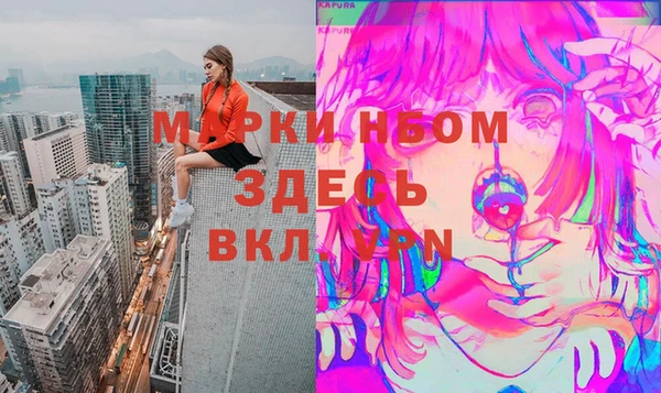 стафф Дмитровск