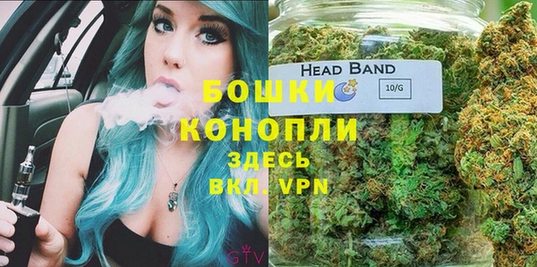 стафф Дмитровск